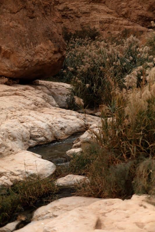 Ilanit Illouz, Wadi, série Les Dolines, 2016-2021. 