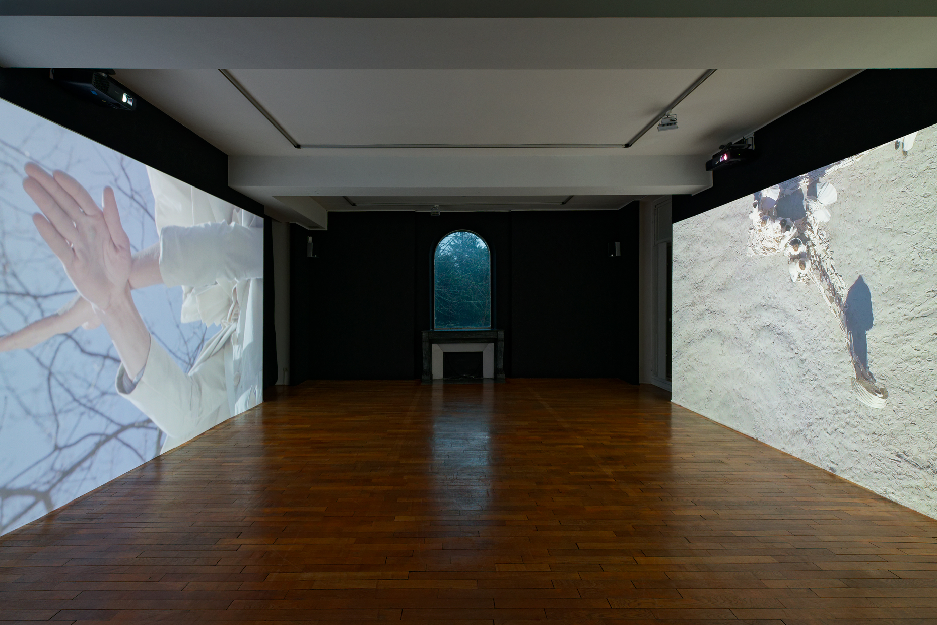 Nefeli Papadimouli, Être forêt, 2021. Installation vidéo.