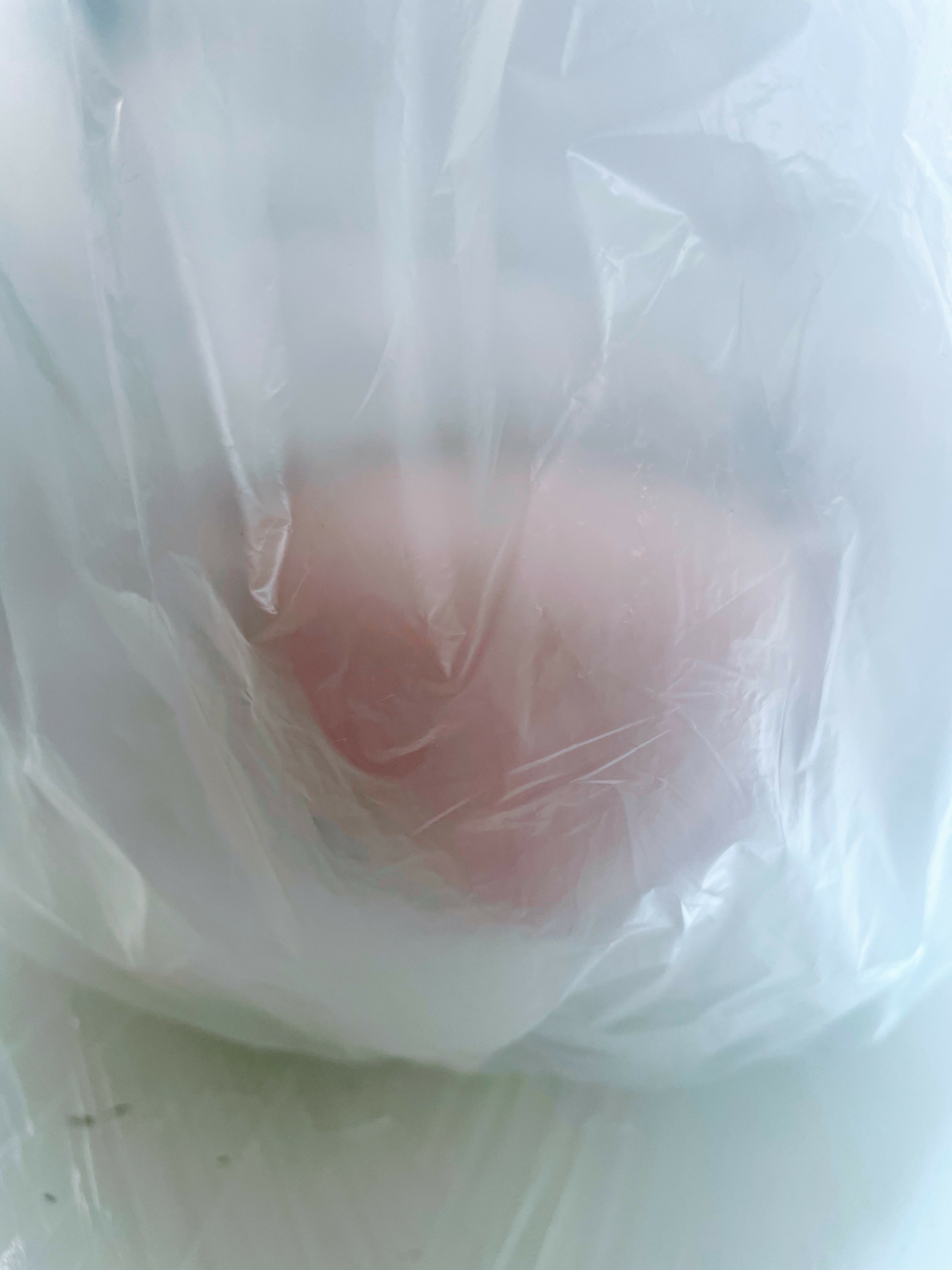 Emilie Pitoiset, So Much Tenderness, mascotte sur-mesure, 2025. Courtesy of the artist & Klemm’s, Berlin 