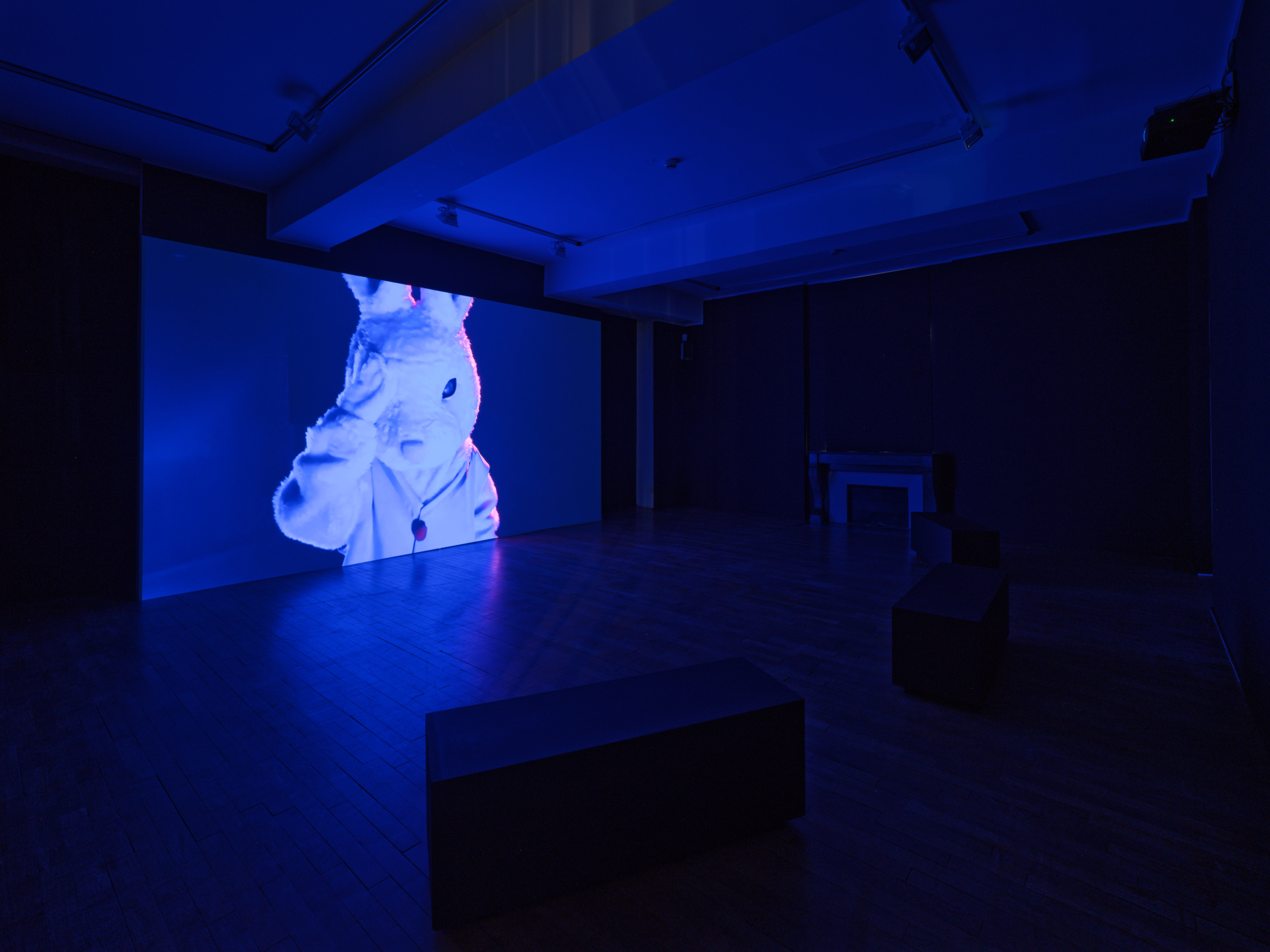 Emilie Pitoiset, So Much Tenderness, 2026. Vidéo, couleur, stéréo, 9’17’’. Courtesy de l'artiste & Klemm's, Berlin. 